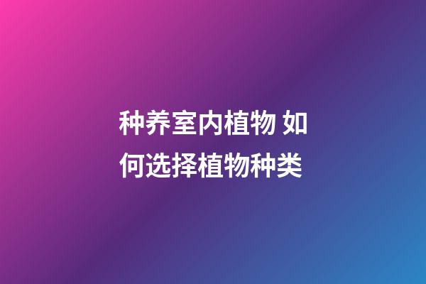 种养室内植物 如何选择植物种类